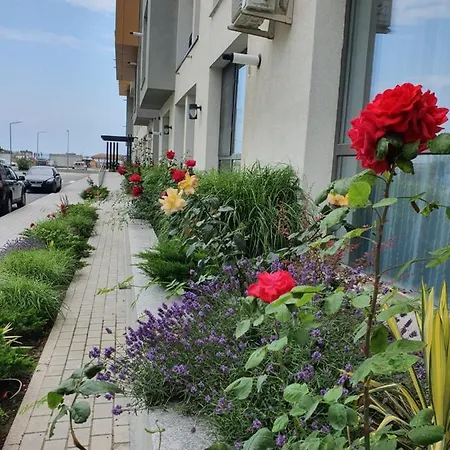 Onix Blue 17 - Nord *